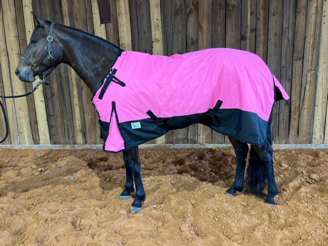 Horse Turnout blanket